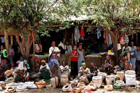 Bustling market activity with numerous people and stands in Adi Arkay