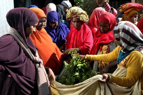 ETH Awaday, Khat, Market