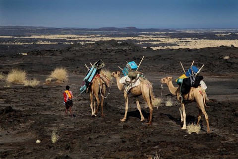 Caravan with camels and people in the vast desert landscape, zero