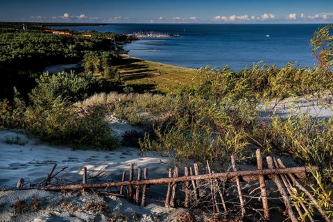 Beautiful coastal landscape with overgrown dunes and sea view, Nida, Curonian Spit, Lithuania