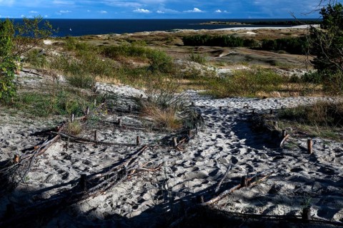 Wide dune landscape with beach twigs and views of the sea under a blue sky, Nida, Curonian Spit,