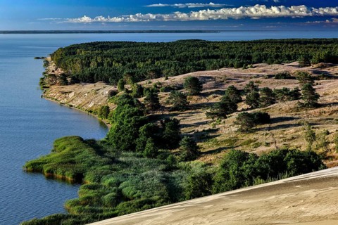 Lush vegetation over sand dunes with views of sparkling sea and clear skies, Nagliai, Lithuania