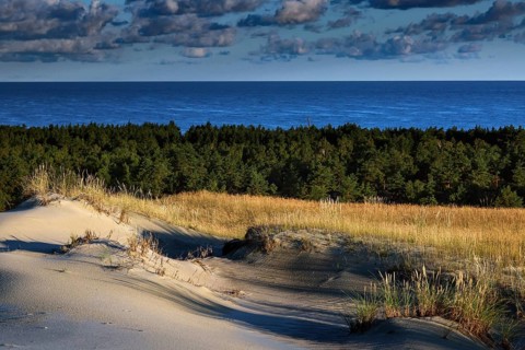Contrasting landscape with sand dunes, dense forest and sea views under blue sky, Nagliai,