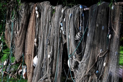 Fishing nets hang in the port of Juodkrante, between ropes and netting, Juodkrante, Lithuania