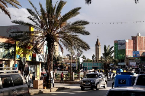 Scene scene of a lively street with palm trees and vehicles, Mekele, Ethiopia