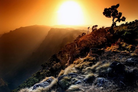 Dramatic sunset over a mountain landscape with tree, zero