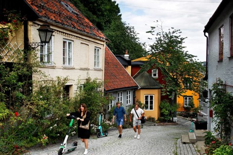 Historic street with charming old wooden houses and lush vegetation, Oslo, Norway