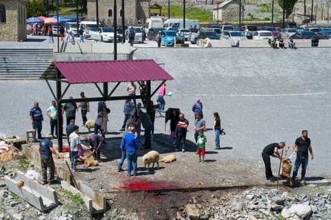 People gather around a slaughter site, bloody spots on the ground, parked cars, slaughter of sheep,