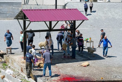 People in a group working on sheep, traces of blood on the ground, rural environment, slaughter of