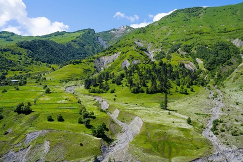 Idyllic hilly landscape with forest and meadows, nestled in a mountainous region in summer,