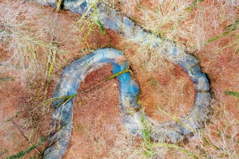 Meander of a low mountain stream in winter with beech forest, vertical aerial view, drone shot,