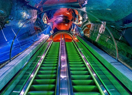 Escalator under the largest aquarium in Dohar, 6 million liters capacity, at the old port and the