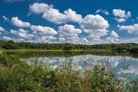 Cumulus clouds over Ahlhorn fish ponds, Ahlhorn, Lower Saxony, Germany