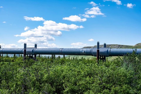 Alaska Pipeline Oil Pipeline, Alaska Range, Richardson Highway, Alaska, USA
