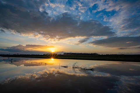 Evening sky is reflected in high water in Ochsenmoor am Dümmer, Ochsenmoor, Hüde, Lower Saxony,