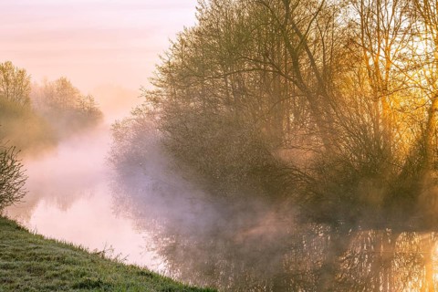 River Lohne at sunrise with fog, Dümmer, Lembruch, Lower Saxony, Germany