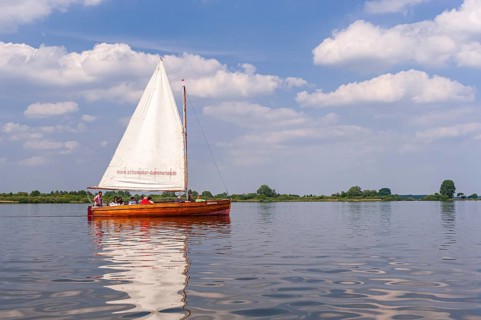 Sailing boat on Dümmer See, Oldenburger Münsterland, Dümmerlohhausen, Lower Saxony, Germany