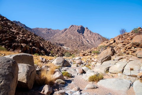 Hiking to White Lady, Dry Mountain Landscape, Tsisab Gorge, Brandberg, Erongo, Namibia