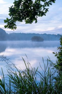 Daybreak with fog at blue hour in the Ahlhorner Fischteiche nature reserve of the Lower Saxony