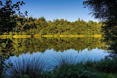Diana See in the Ahlhorner Fischteiche Nature Reserve, Wildeshausener Geest, Ahlhorn, Lower Saxony,
