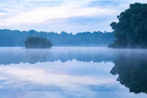 Daybreak with fog at blue hour in the Ahlhorner Fischteiche nature reserve of the Lower Saxony