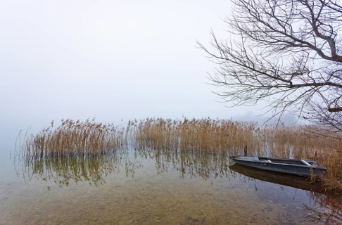 Foggy autumn atmosphere at the lake with fishing boat in reeds, Irrsee, Salzkammergut, Upper