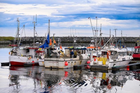 Fishing boats Fishing vessels are moored in Berlevag harbour in the north of the Varanger Peninsula