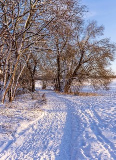 Winter landscape, fields and fields in Berlin Lübars, a village in Berlin Reinickendorf, Germany