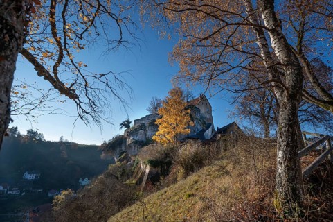 Autumnal birch (Betula) in front of Pottenstein Castle, created around 1070, Pottenstein, Upper