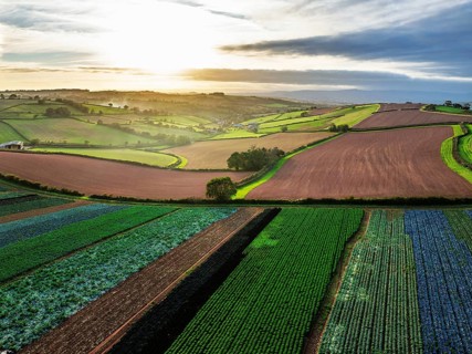 Colours of autumn Fields and Farms over Sheldon from a drone, Torbay, Devon, England, United