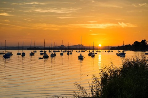 Sailboats, sunset, Allensbach, Untersee, Lake Constance, Baden-Württemberg, Germany