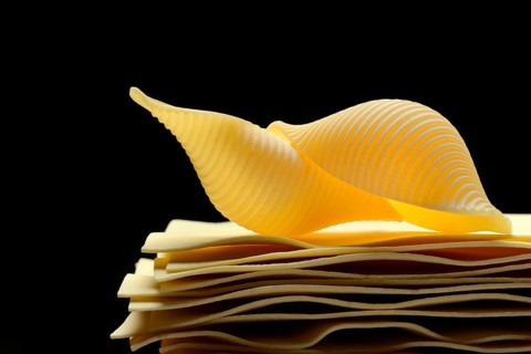 Uncooked lasagna leaves and mussel noodles, conchiglione