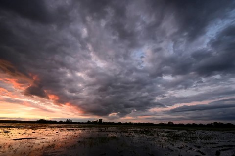 Dramatic sunset over flooded wetlands with wind turbines in the background and bright shades of