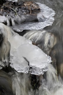 Natural ice sculptures on a stream, Emsland, Lower Saxony, Germany