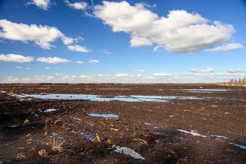Peated hoochmoor black peat in cloudy skies with earthy colors and natural texture, Diepholzer