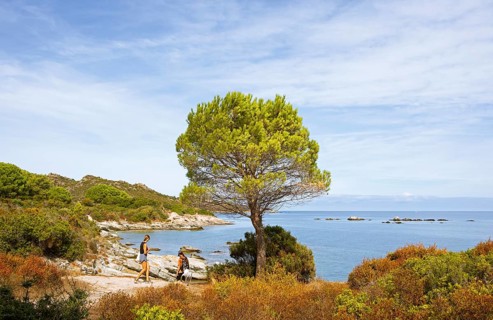 Desert des Agriates or Agriates desert on the Gulf of Saint-Florent in the Mediterranean,