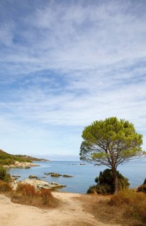 Desert des Agriates or Agriates desert on the Gulf of Saint-Florent in the Mediterranean,