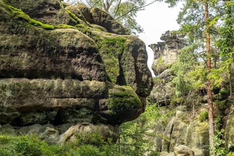 Mühlsteinbrüche hiking area near Jonsdorf in the Zittau Mountains, Upper Lusatia, Saxony, Germany