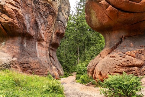Kelchsteine natural monument near Oybin, Zittau Mountains, Upper Lusatia, Saxony, Germany