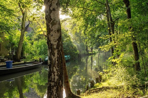 Canal or Spreewaldfließ in the Spreewald near Spreewalddorf Lehde, Lübbenau/Spreewald, Brandenburg,