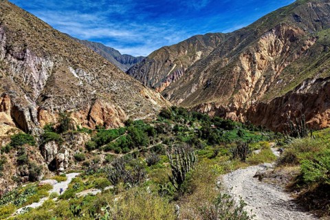 Mountain trail through a green, rocky landscape under clear sky, the landscape of Colca Canyon in