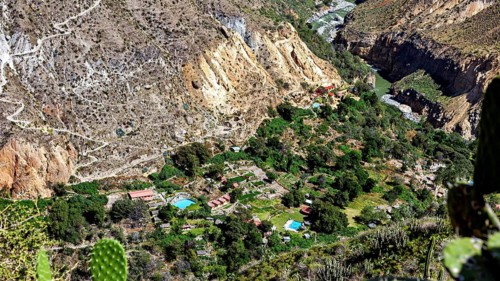 Small village surrounded by a green oasis in a rocky gorge landscape, the landscape of the Colca