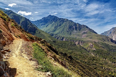 Hiking trail along a mountain under sunny sky, The landscape of Colca Canyon in the Aden of Peru