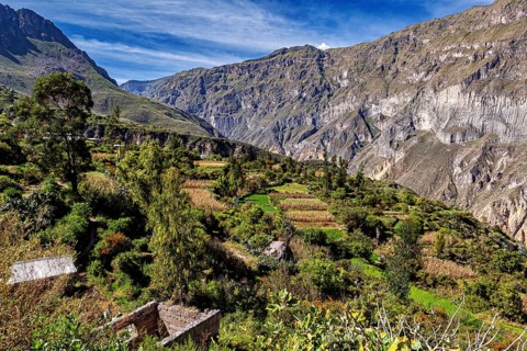 Cottage gardens and terraces against an impressive rocky backdrop, The landscape of the Colca