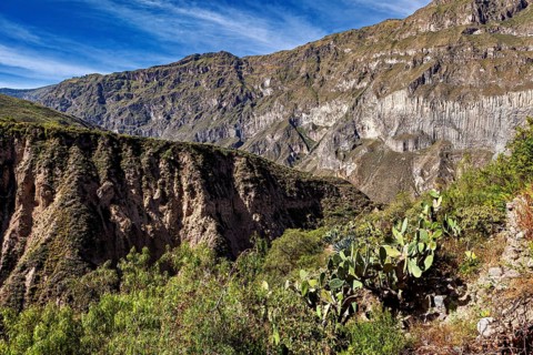 Extensive gorge landscape with vegetation and typical desertic features, The landscape of the Colca