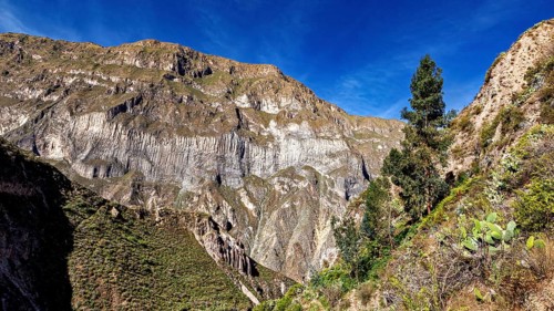 Rugged mountain landscape with a single tree and cacti under a clear sky, The landscape of Colca