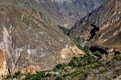 View of a deep gorge with winding mountain trails and dry vegetation, The landscape of Colca Canyon