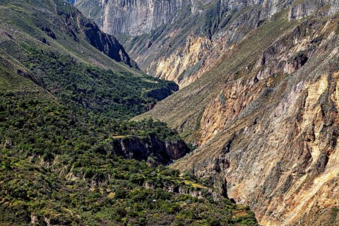 Deep gorge surrounded by lush vegetation and steep rock faces, the landscape of Colca Canyon in the
