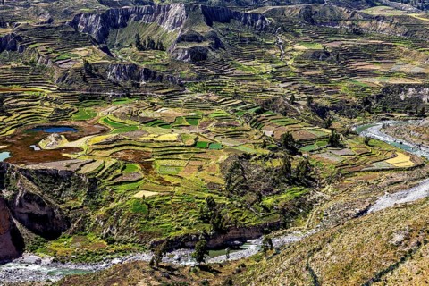 Overview of green fields and a river in terraced hills, The landscape of the Colca Canyon in the