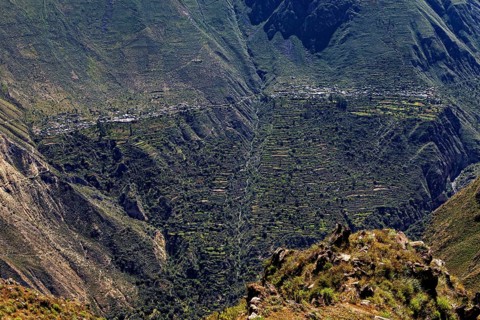 Bird's-eye view of terraces running on the slopes in a mountainous region, The landscape of Colca